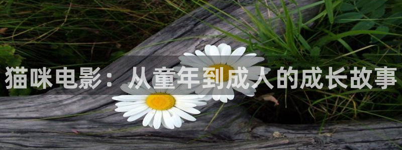 南瓜影院影院影免費(fèi)電影在線高清