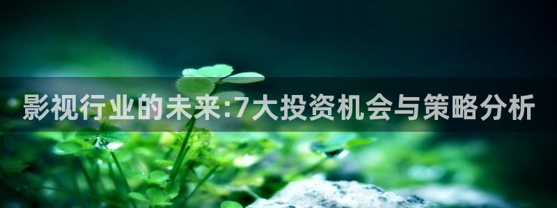 南瓜包